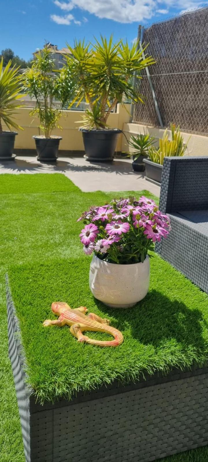 La Zenia Sabrina Apartment 5 Orihuela Exteriör bild